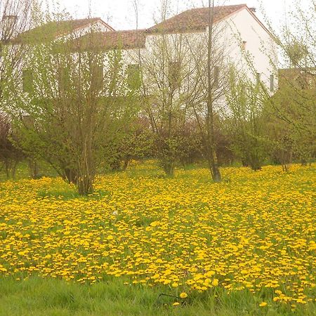 Villa Gaudio Ponte San Nicolo Экстерьер фото